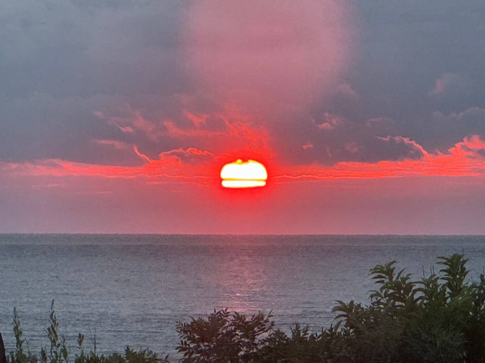 Summer Sunset Dreams