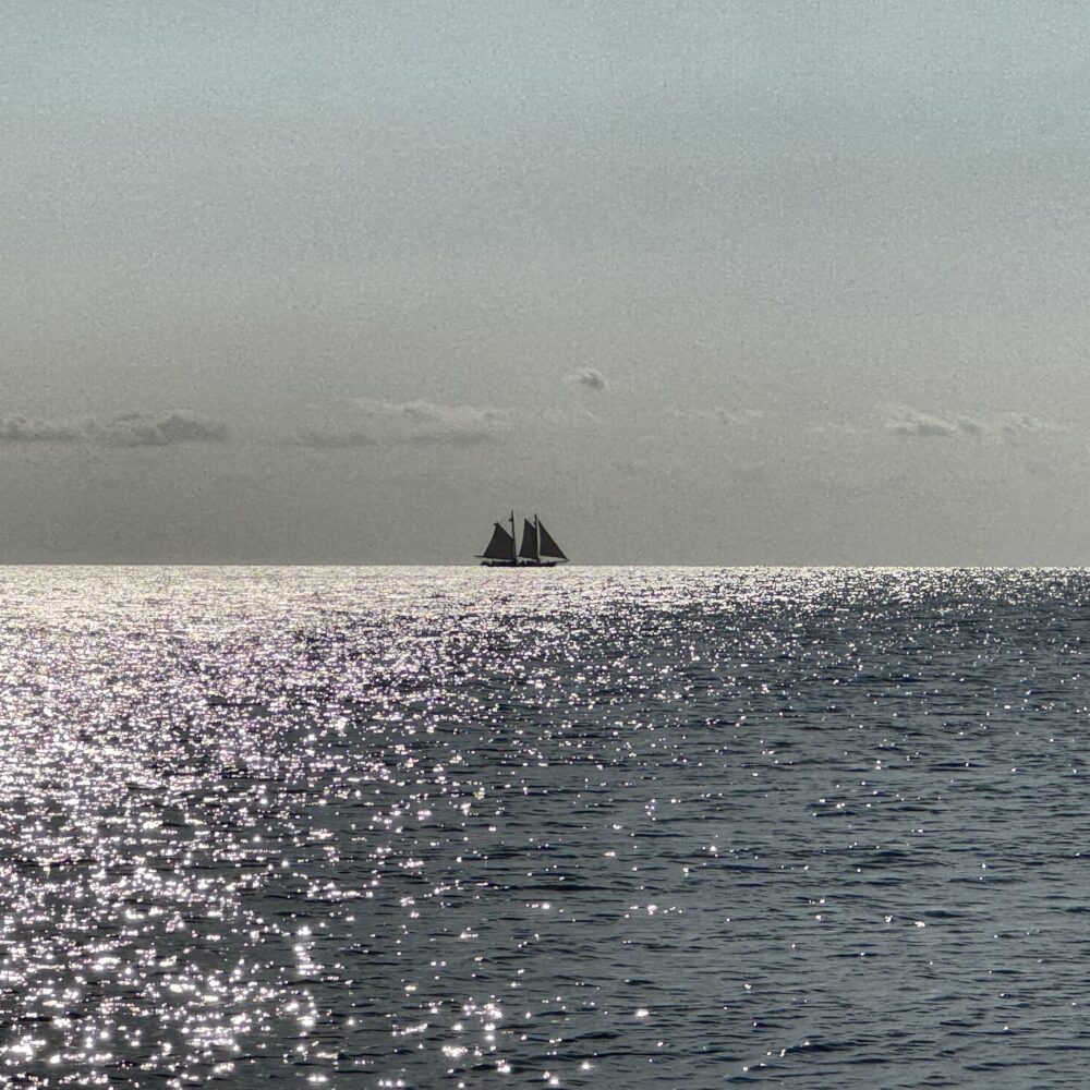 Schooner in the Sun