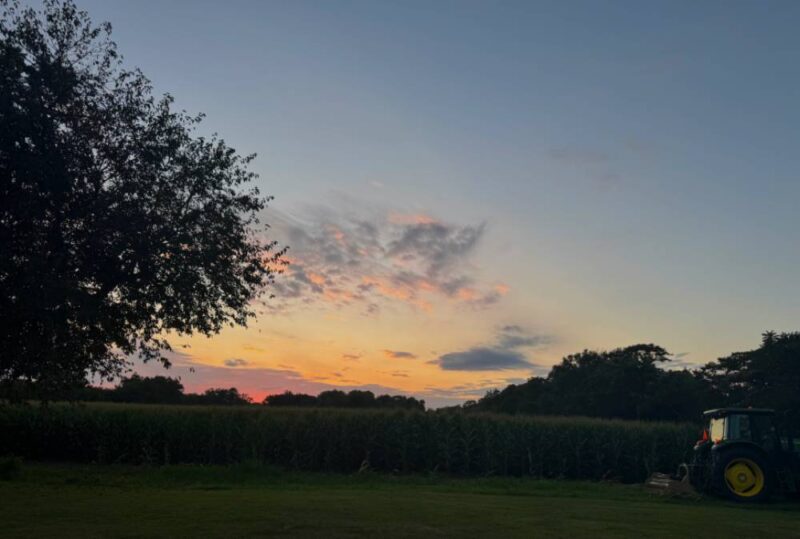 orange pink and blue sunset over a corn field with tree and tractor summer evening