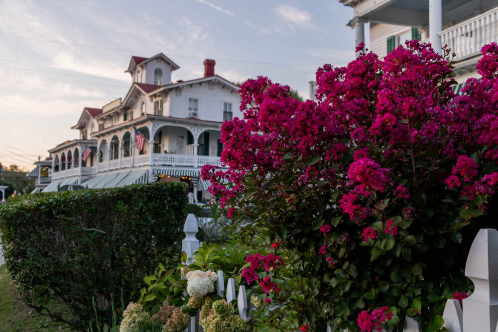 Full Bloom for Labor Day