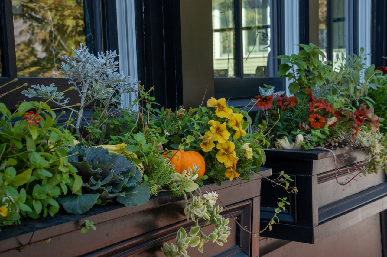 Fall Decor at the Cricket Club