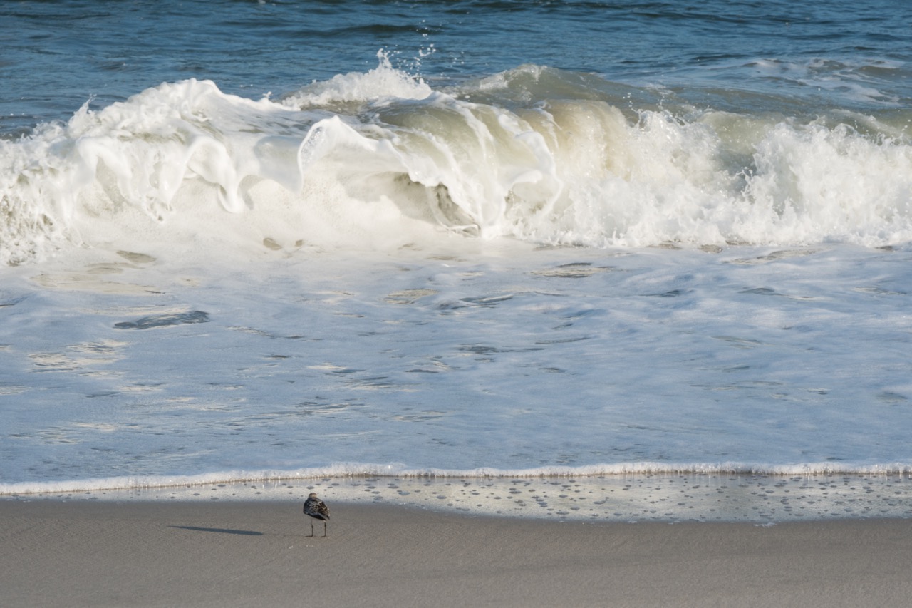 Watching the Waves by Poverty Beach
