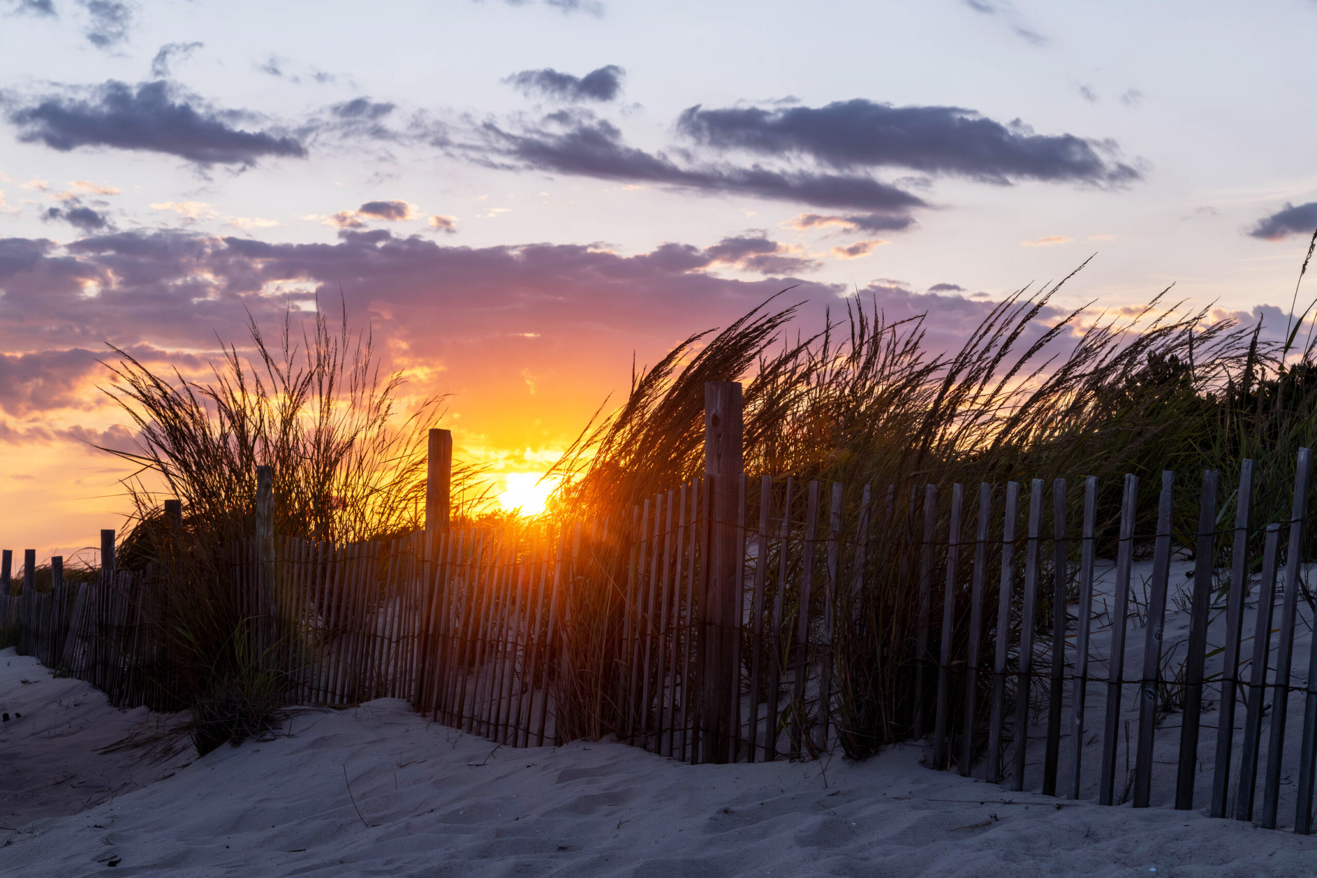The sun setting behind dunes and a fence at the beach. There are purple and pink clouds in the sky. 
