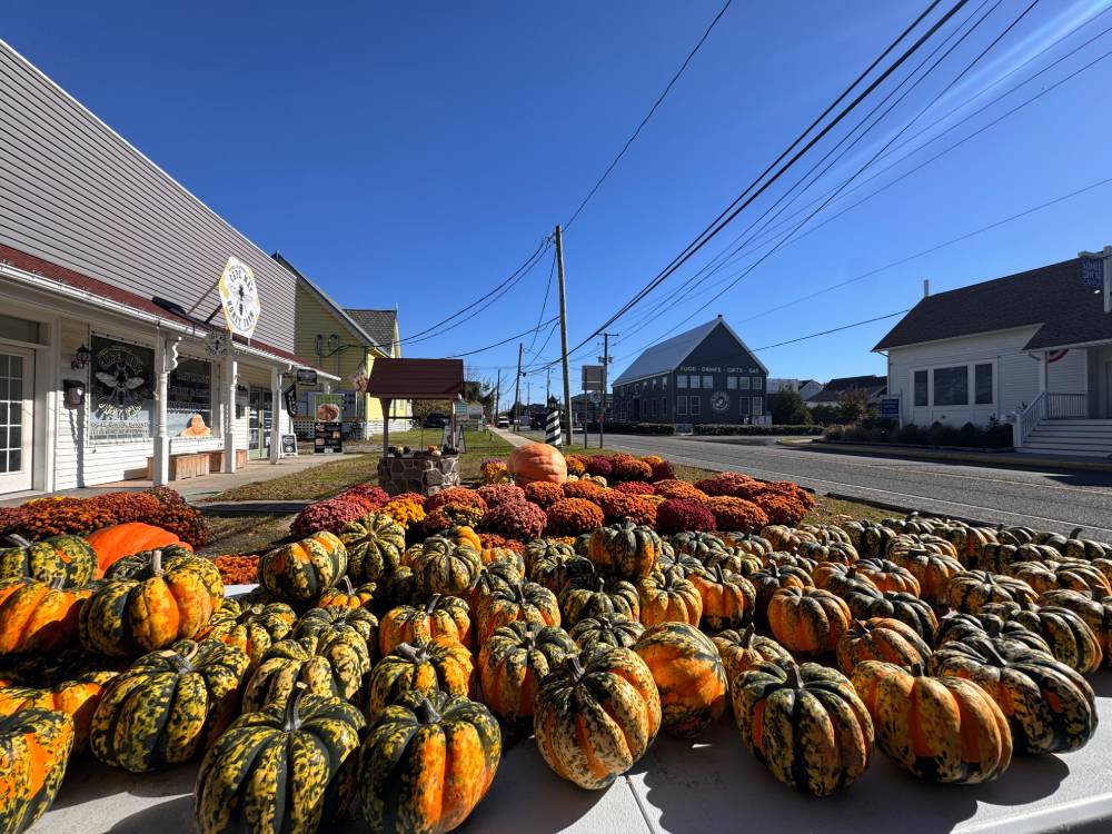 Autumnal Adornments on Sunset