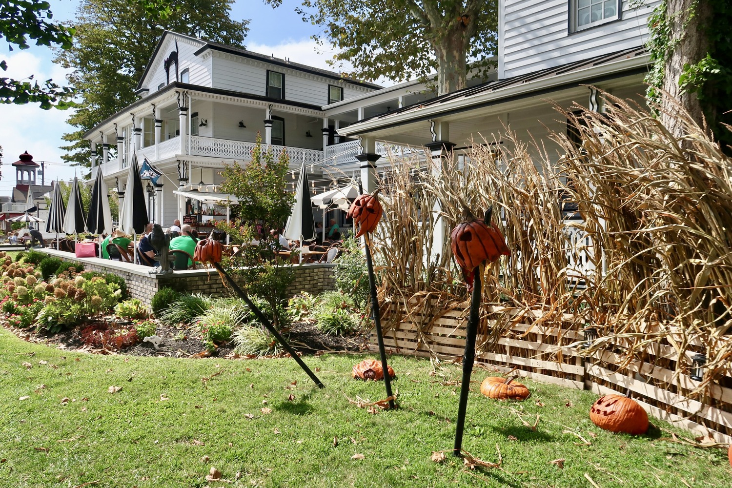 Pumpkins and hay at Elaine's for Halloween