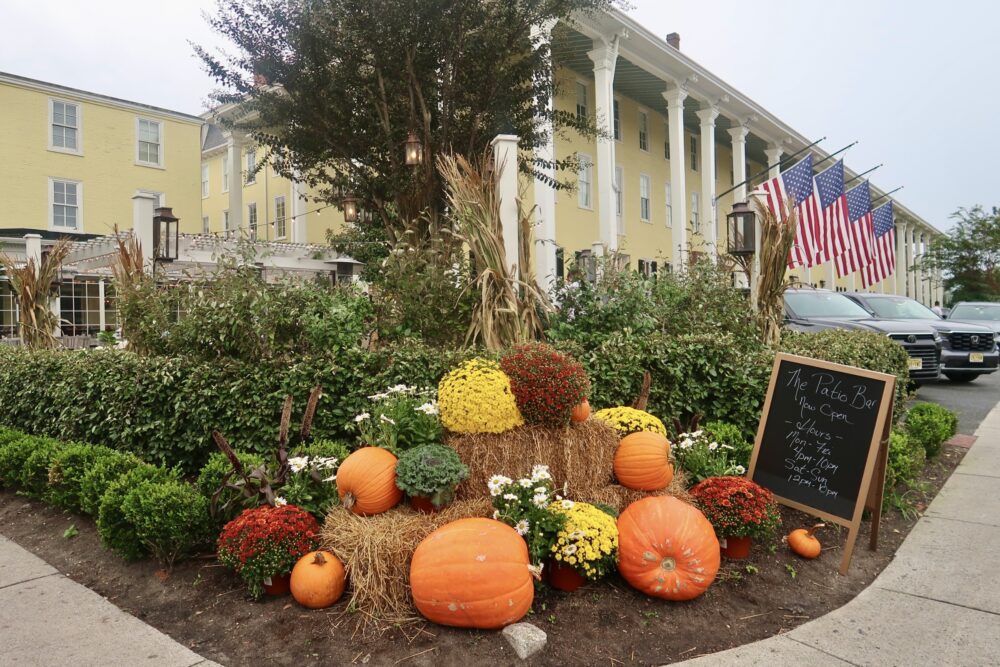 Fall on Display