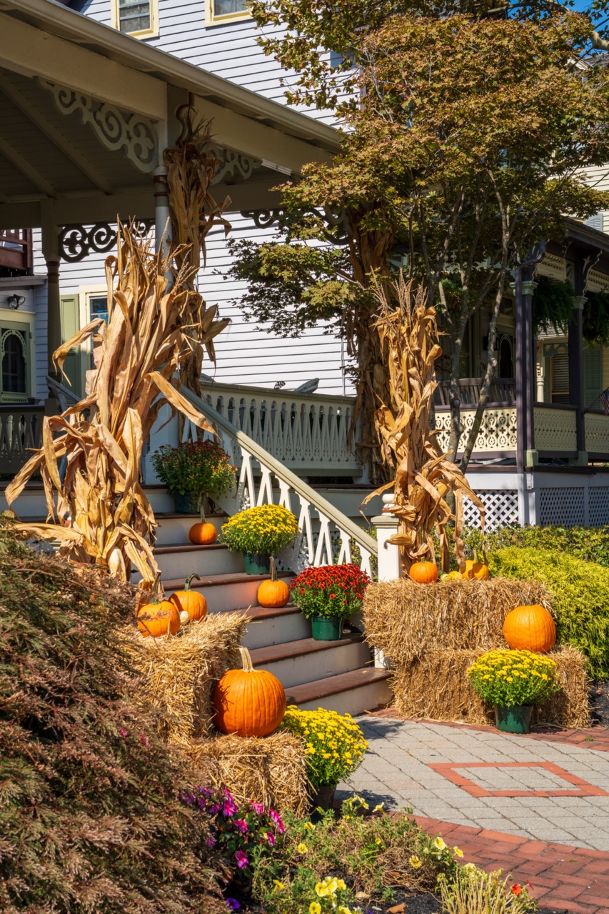 Golden Hour on Jackson Street all deck out with Fall decor