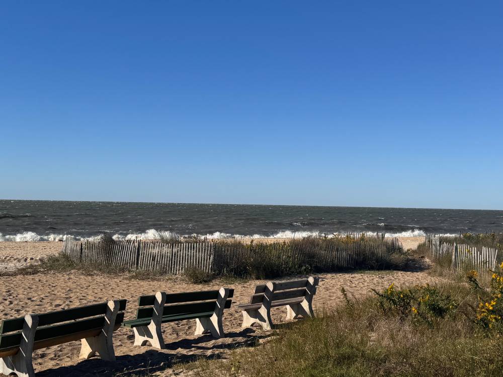 Northwest Winds in the Waves