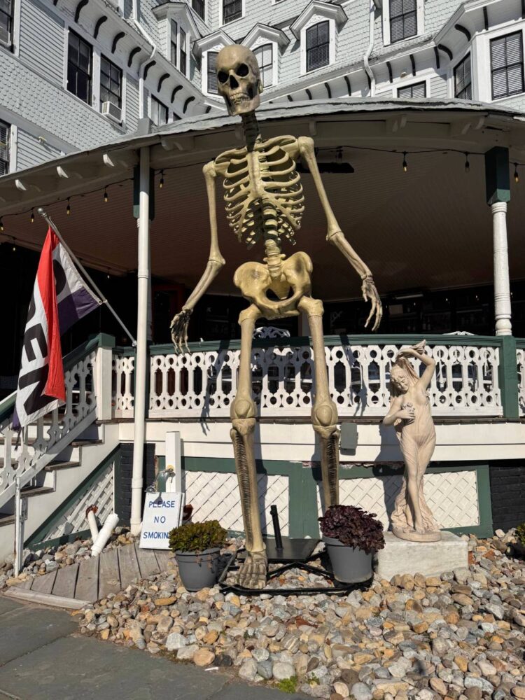 The SkeletINN of Cape May
