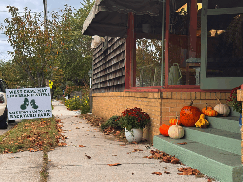 Image of fall leaves on sidewalk with pumpkins and mums on the stoop of a local shop, sig for the Lima Bean festival