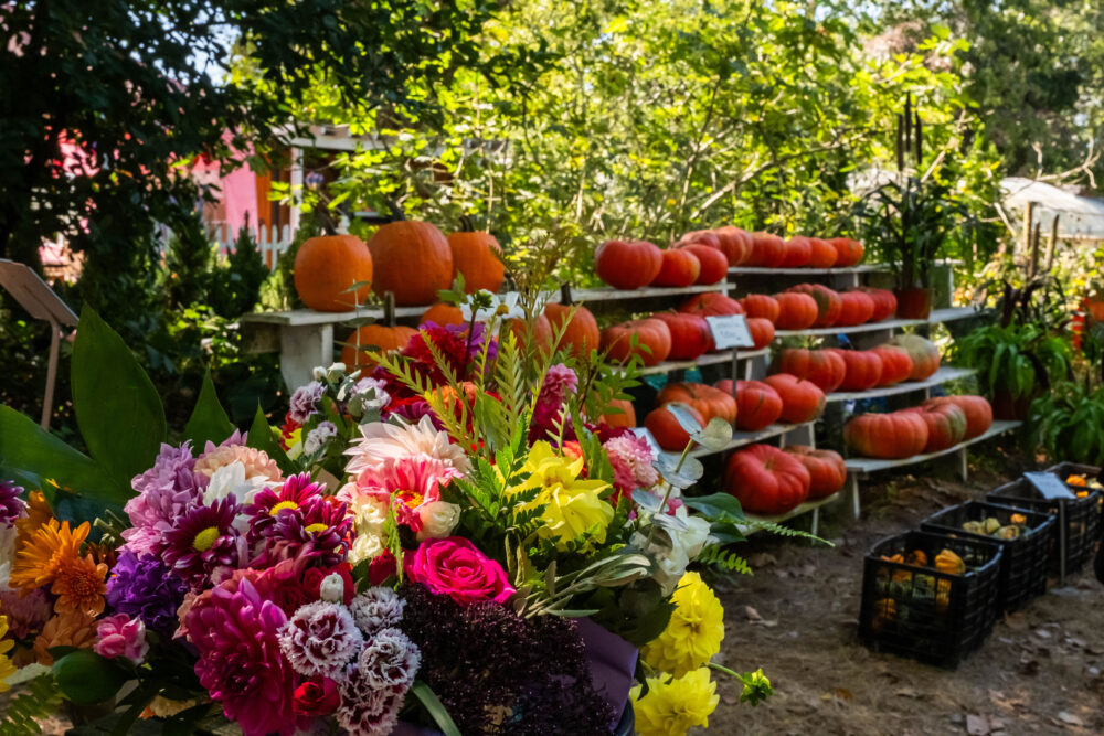 Signs of Fall