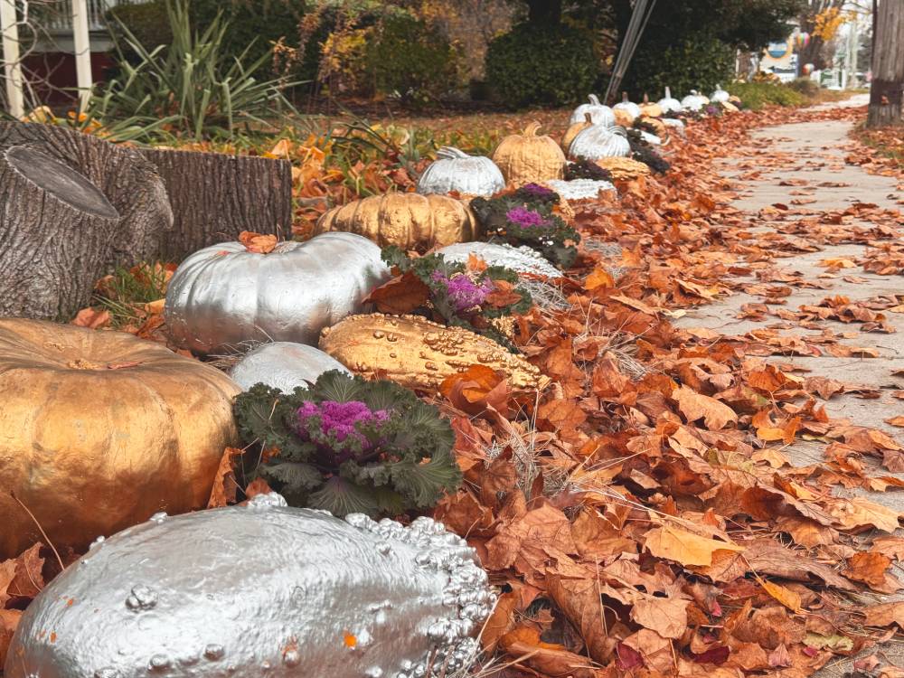 All That Glitters is Gourds