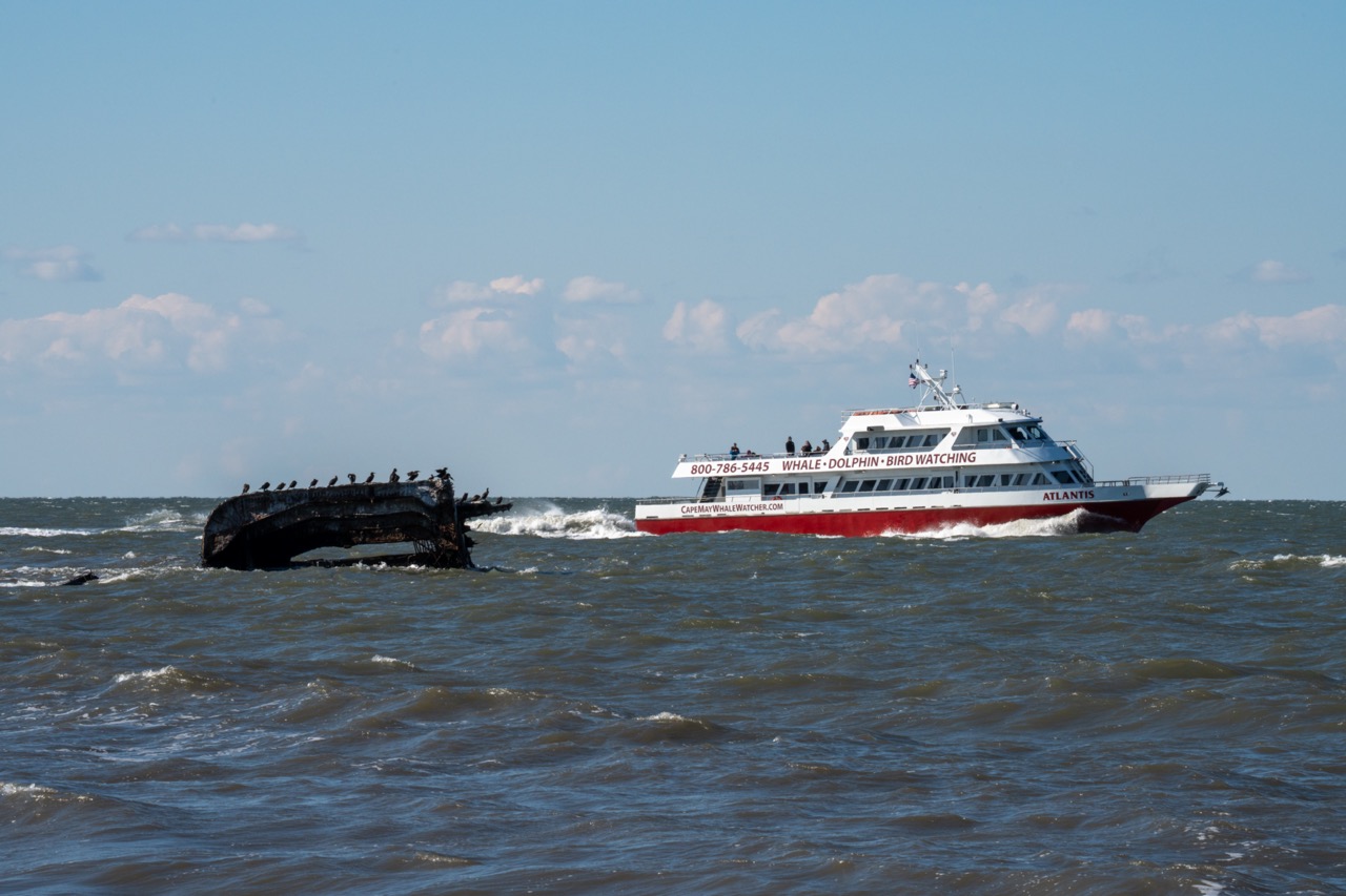 Windy Boat Ride on the Cape May Whale Watcher in the Delaware Bay with the S.S. Atlantus. This is taken on Sunset Beach.