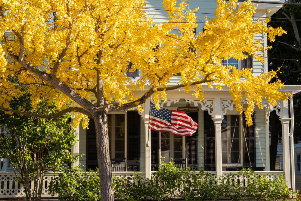 Fall Porches