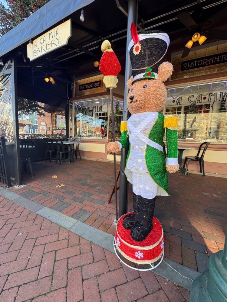 Beary Ready to March