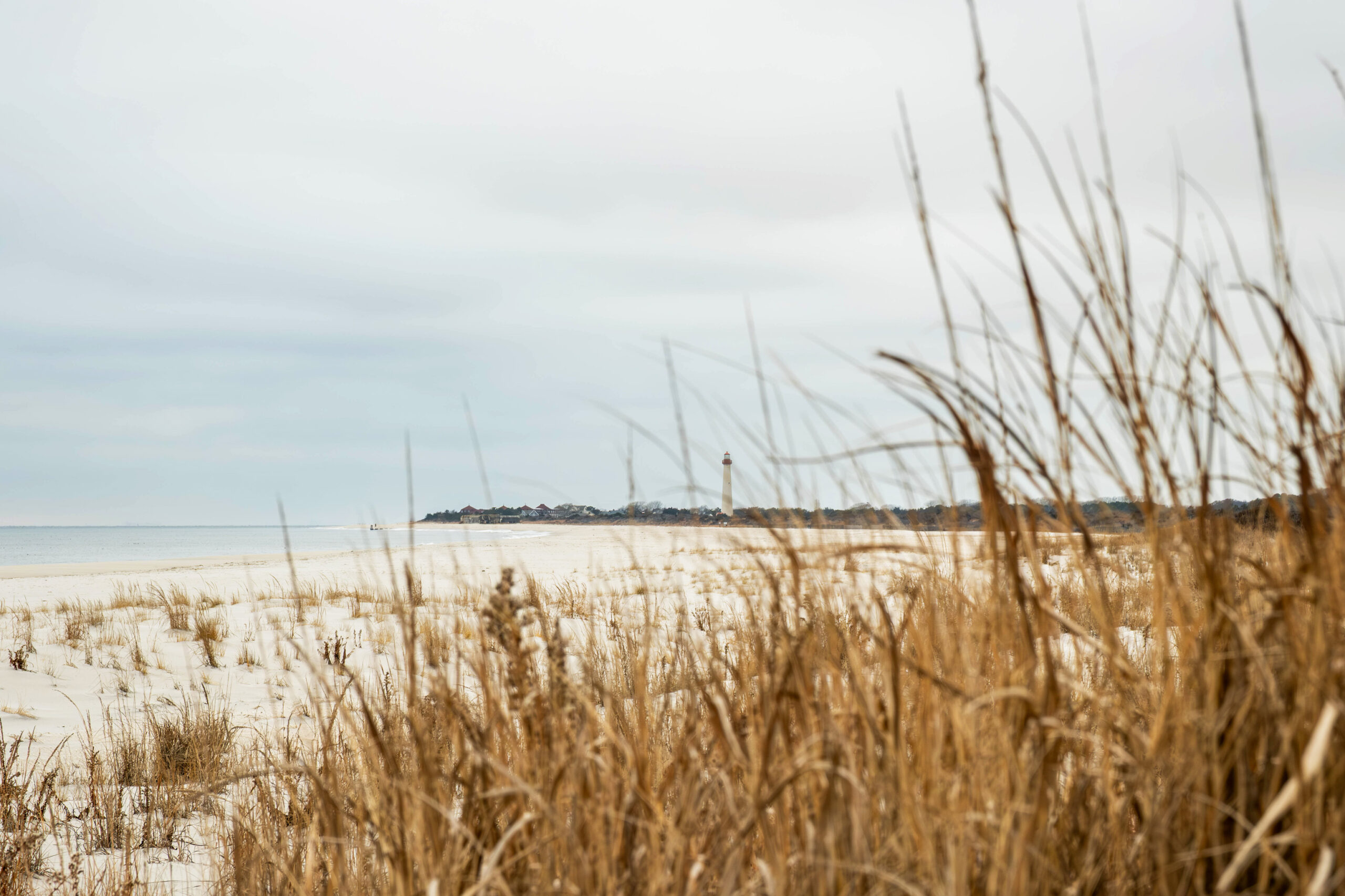 A wide view of the beach on a cloudy gray day. Orange beach dunes are blurred out in the foreground, and the Cape May lighthouse is in between the dunes in the distance.